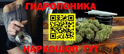 шишки Нальчик