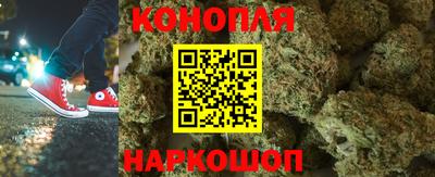 шишки Нальчик