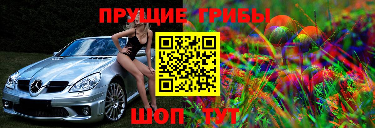 Галлюциногенные грибы Cubensis  Псилоцибиновые грибы прущие грибы  Вход с VPN  Ногинск 
