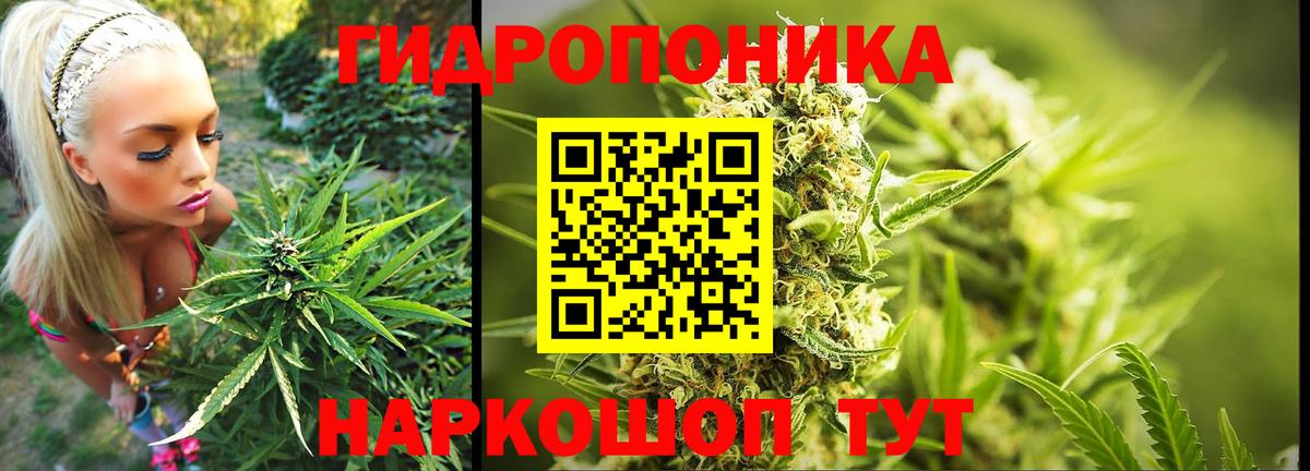 Марихуана Bruce Banner Ногинск